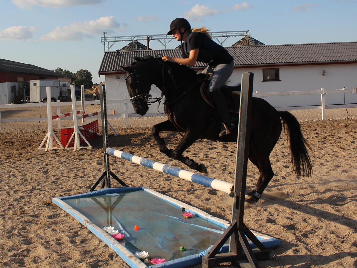 Spring træning Fauerbirk billede 9