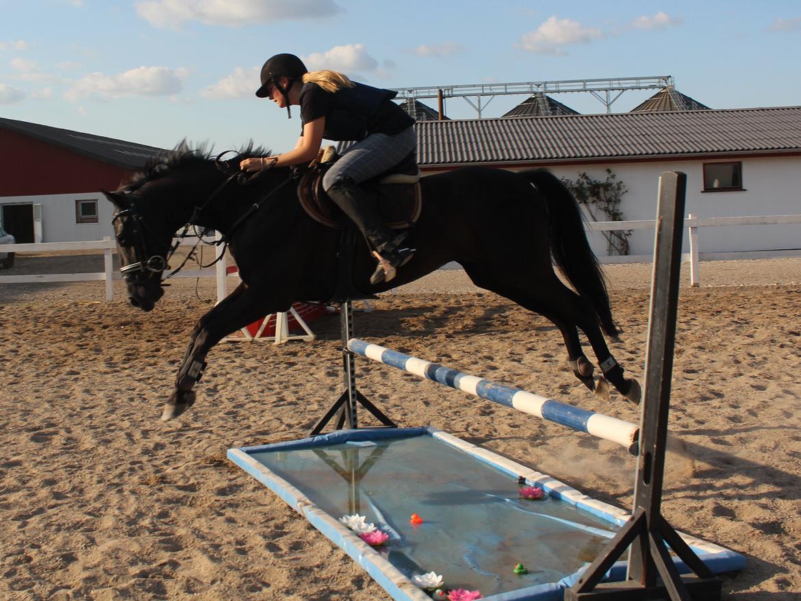 Spring træning Fauerbirk billede 10