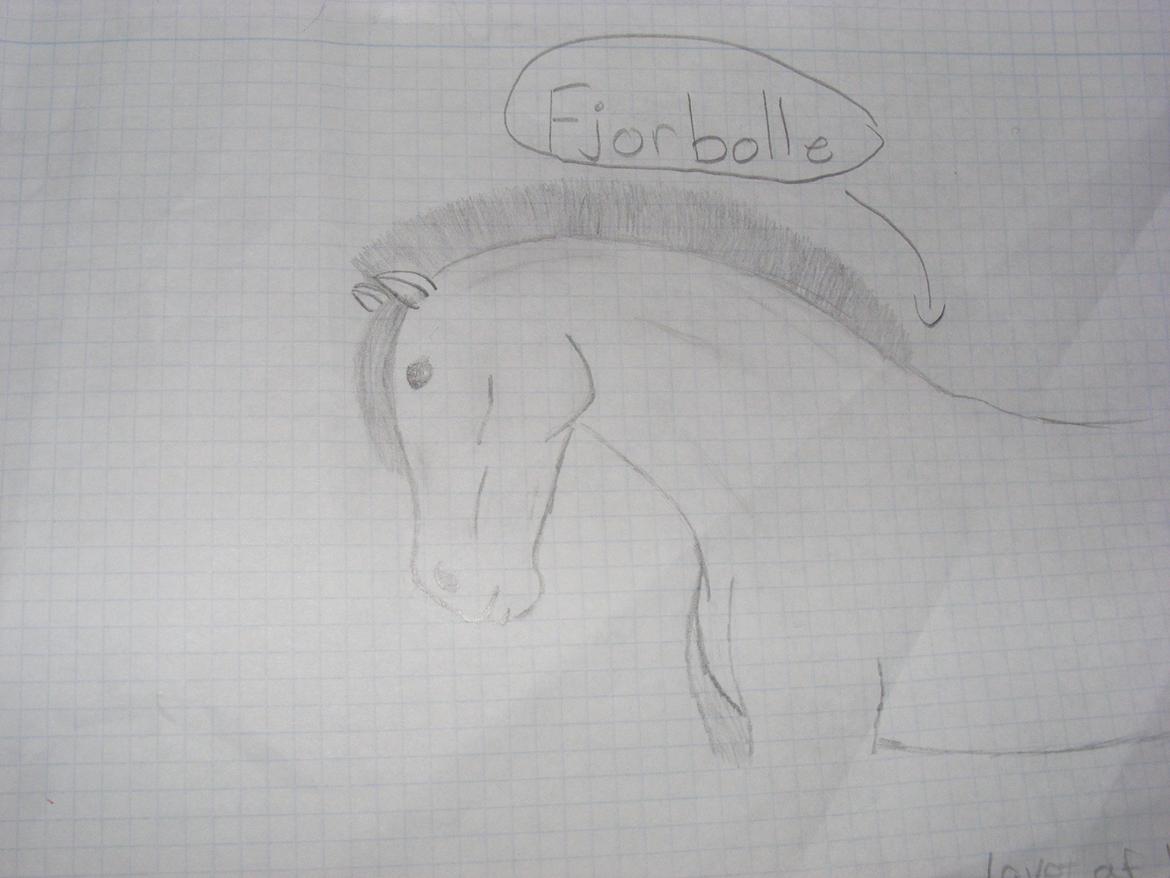 Mine tegninger (unskyld hvis billed er lidt dårligt) - ja det er en fjordbolle som jeg kalder det. billede 1