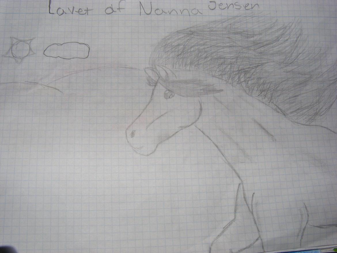 Mine tegninger (unskyld hvis billed er lidt dårligt) billede 2
