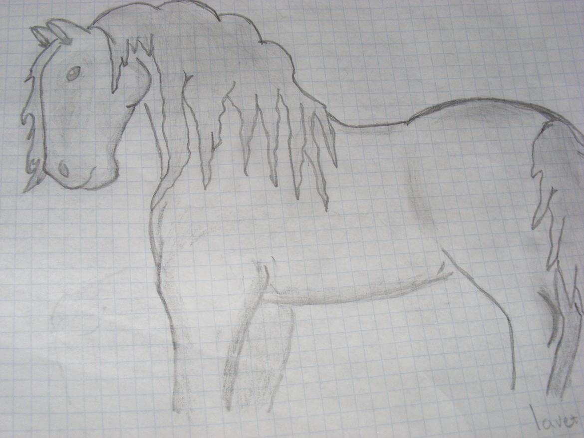 Mine tegninger (unskyld hvis billed er lidt dårligt) billede 4