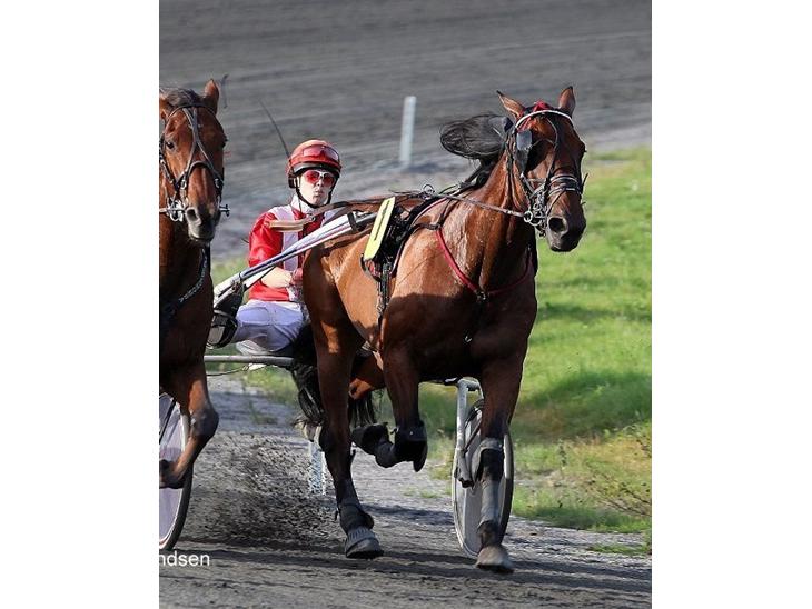 {{currentPhoto.altText}} billede {{currentPhoto.number}}