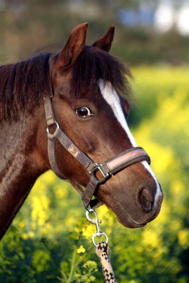 Min dejllige Nanna billede 3