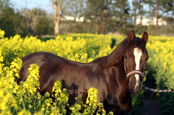 Min dejllige Nanna billede 4