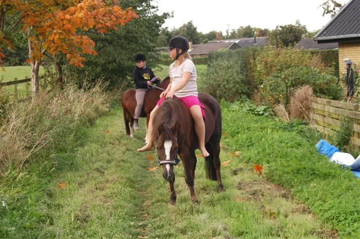 Min dejllige Nanna billede 7