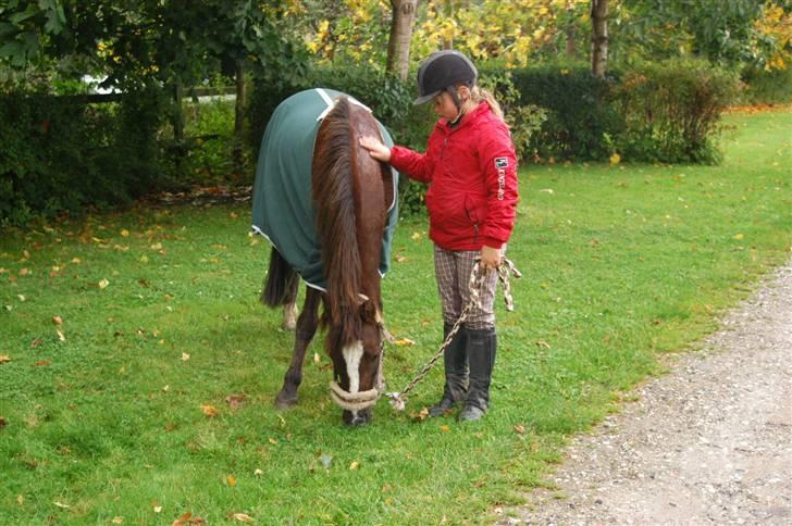 Min dejllige Nanna billede 9