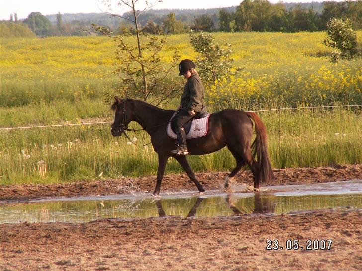 Min dejllige Nanna billede 10