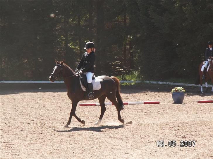 Min dejllige Nanna billede 11