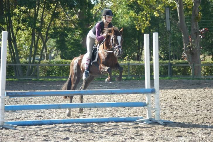 Min dejllige Nanna billede 12