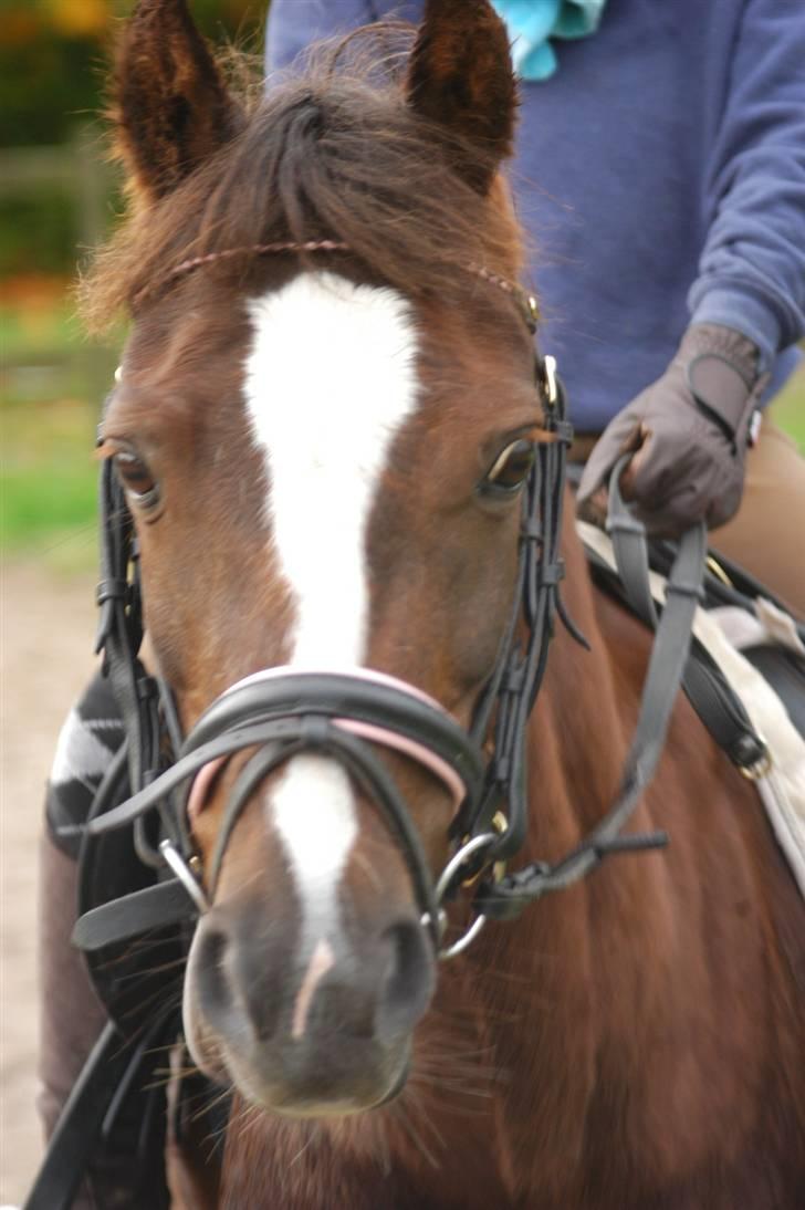 Min dejllige Nanna billede 14