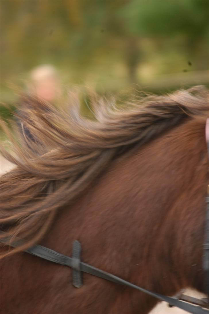 Min dejllige Nanna billede 15