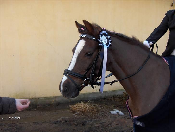 Min dejllige Nanna billede 16