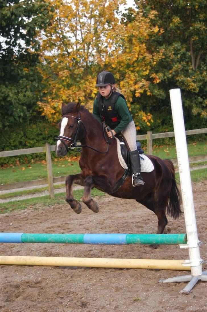 Min dejllige Nanna billede 17