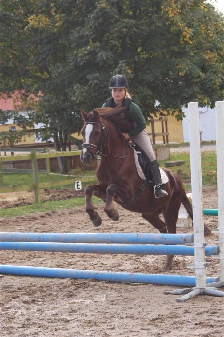 Min dejllige Nanna billede 18