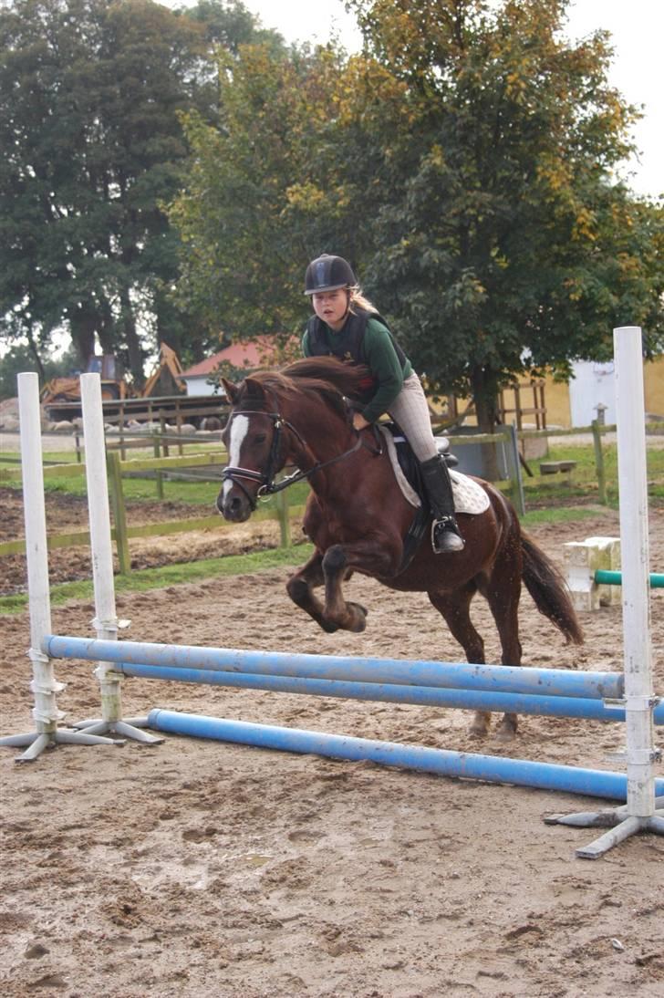 Min dejllige Nanna billede 19