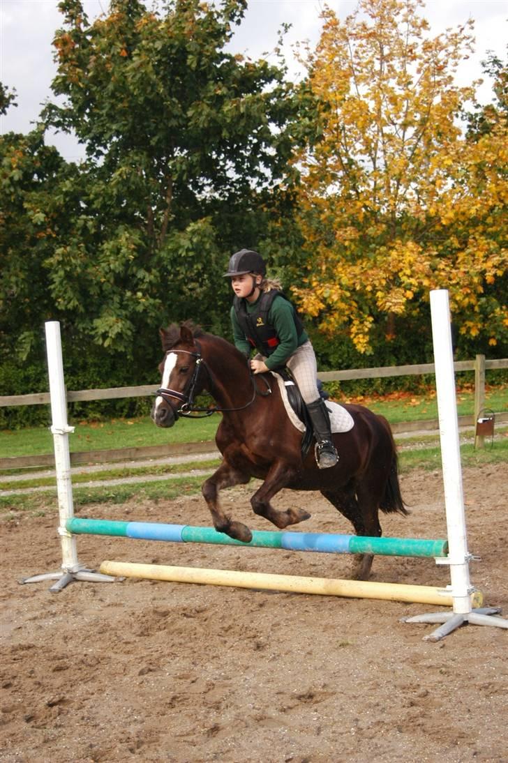 Min dejllige Nanna billede 20