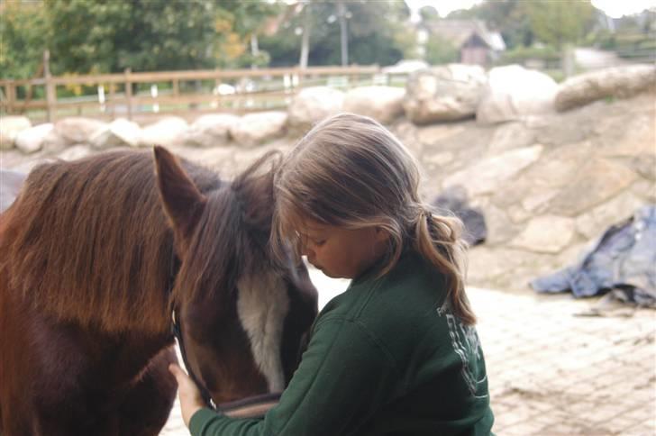 Min dejllige Nanna billede 27