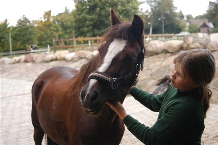 Min dejllige Nanna billede 28