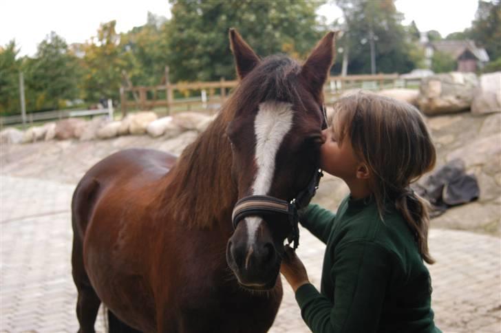 Min dejllige Nanna billede 29