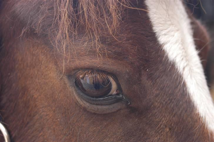 Min dejllige Nanna billede 30