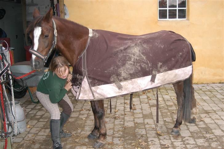 Min dejllige Nanna billede 34