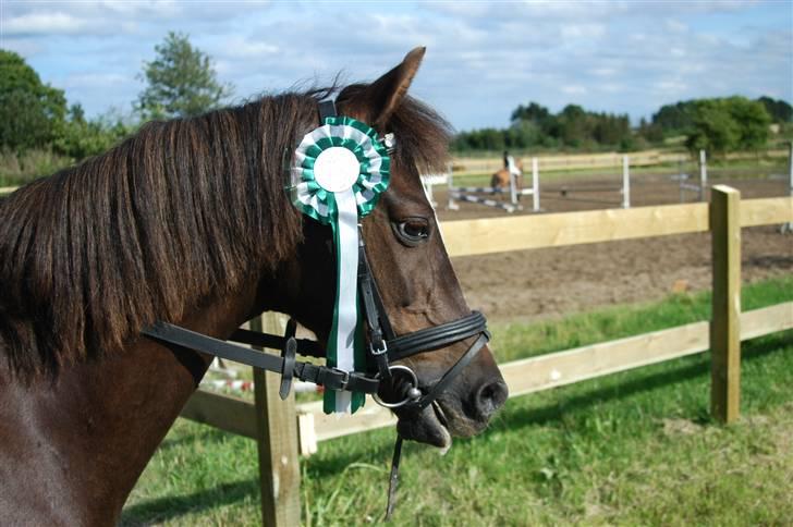 Min dejllige Nanna billede 37