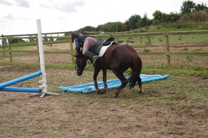 Min dejllige Nanna billede 39