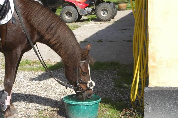 Min dejllige Nanna billede 42