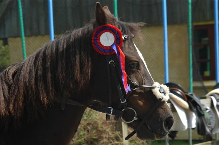 Min dejllige Nanna billede 44