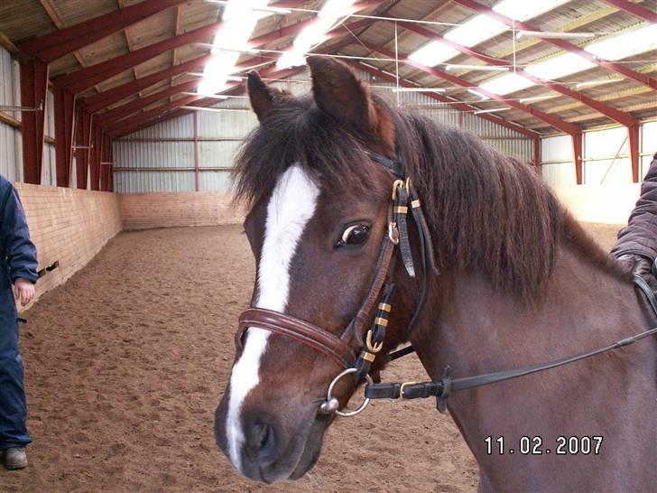 Min dejllige Nanna billede 48