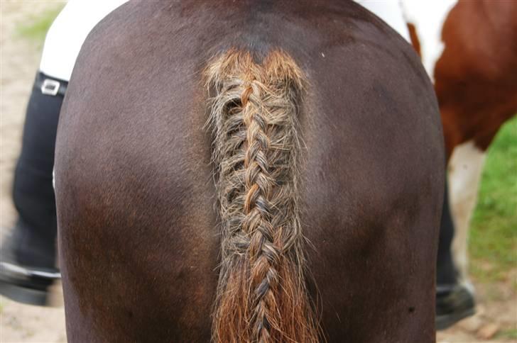 Min dejllige Nanna billede 49