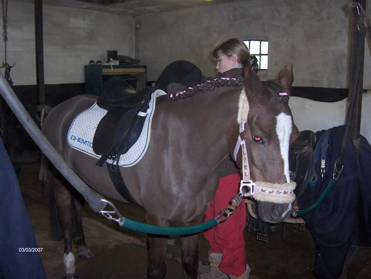 Min dejllige Nanna billede 50