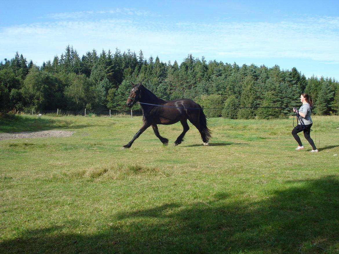 Sir john john,helt nye billeder billede 15