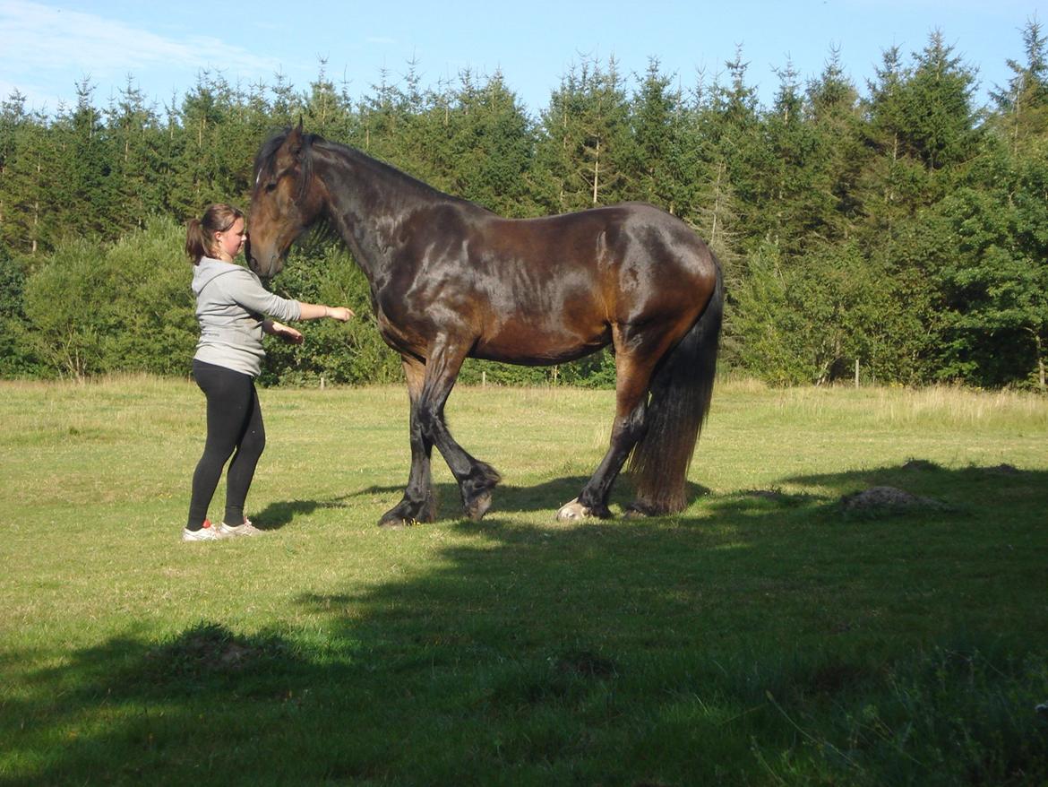 Sir john john,helt nye billeder billede 16