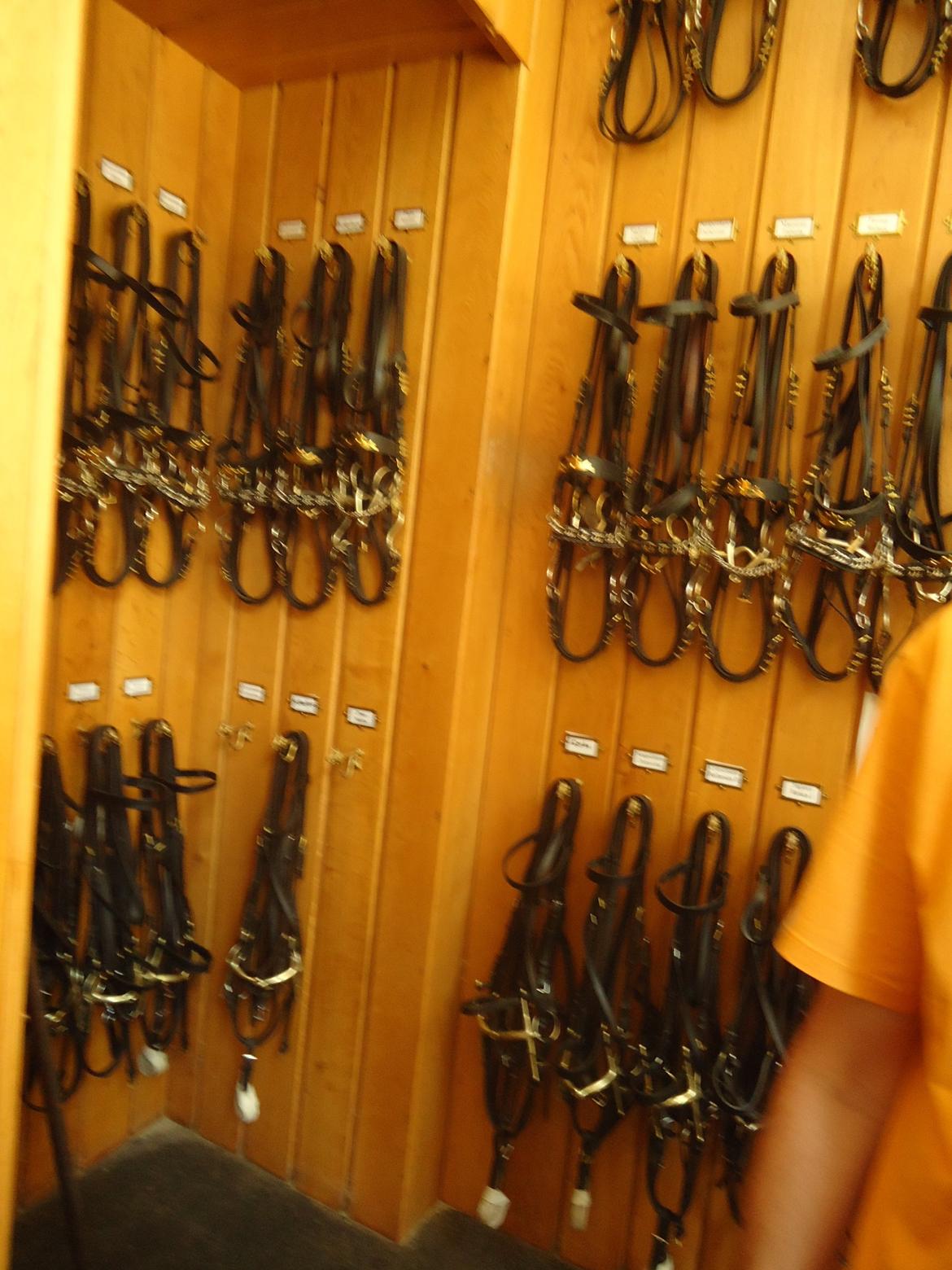 Den Spanske Rideskole i Wien billede 5