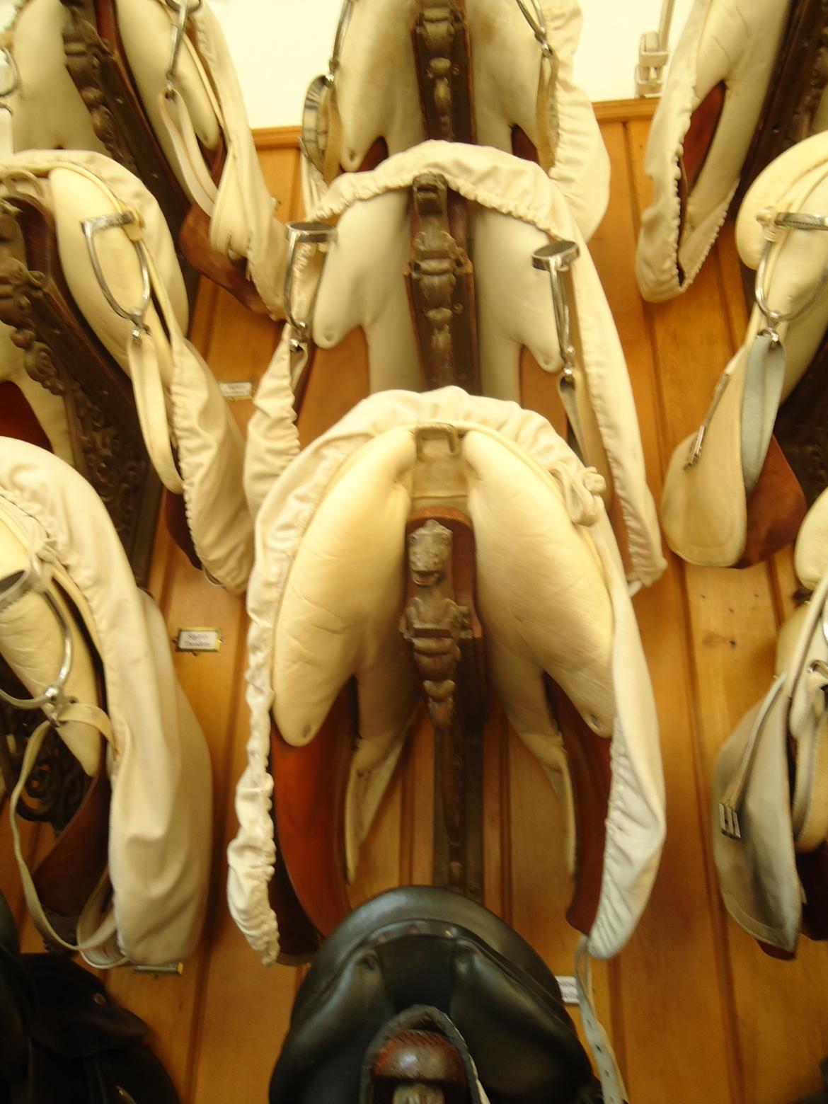 Den Spanske Rideskole i Wien billede 6