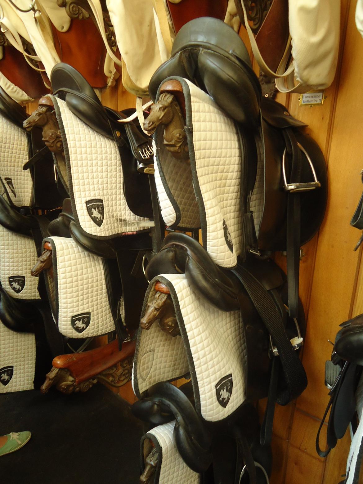 Den Spanske Rideskole i Wien billede 7