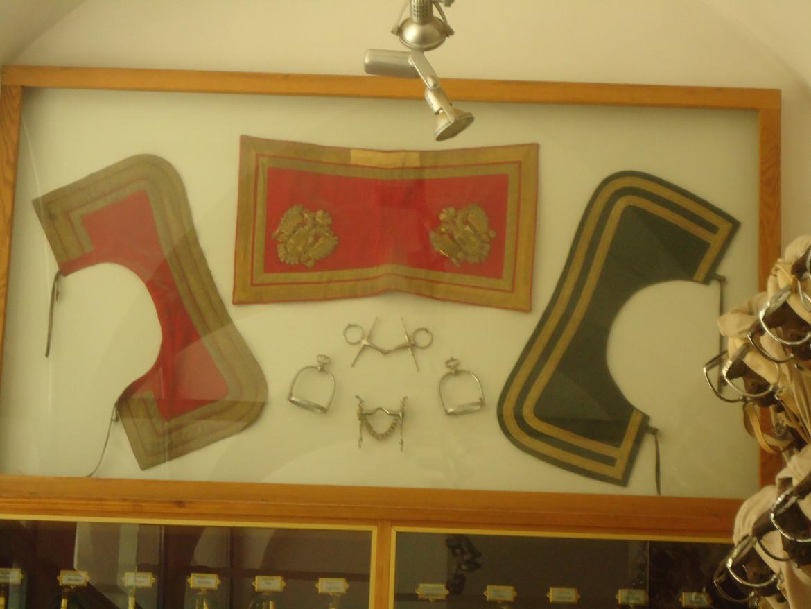 Den Spanske Rideskole i Wien billede 8