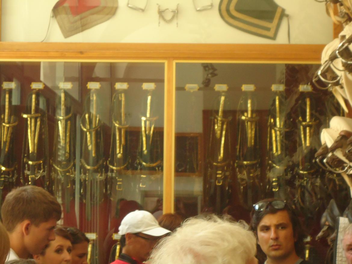 Den Spanske Rideskole i Wien billede 9