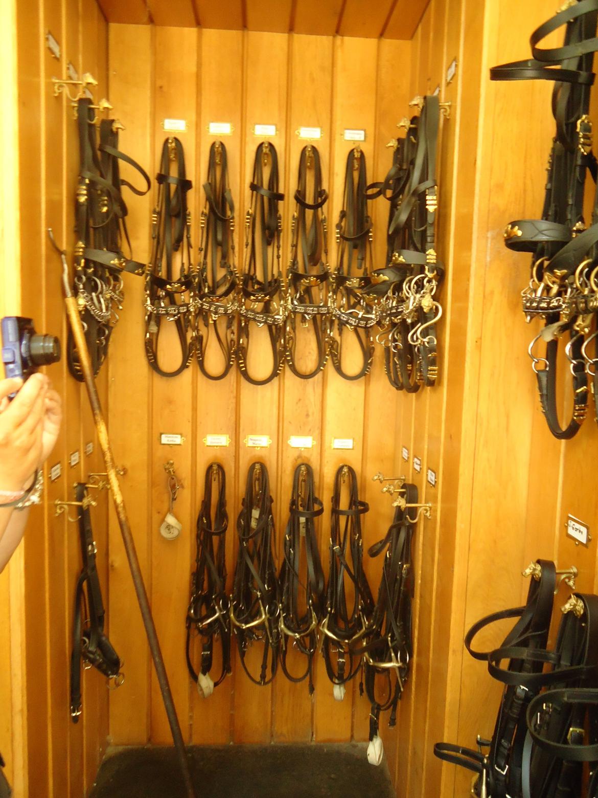 Den Spanske Rideskole i Wien billede 10