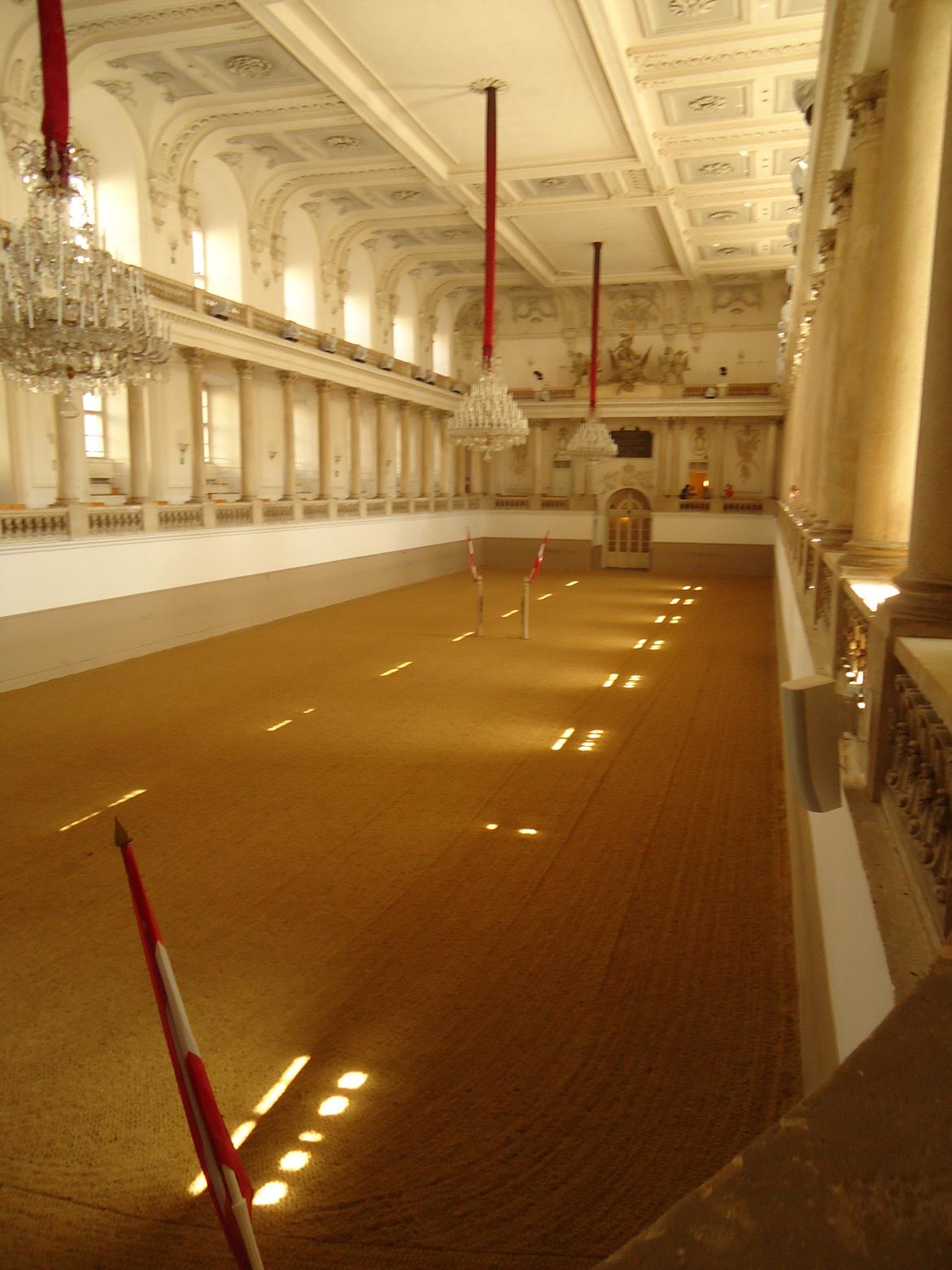 Den Spanske Rideskole i Wien billede 20