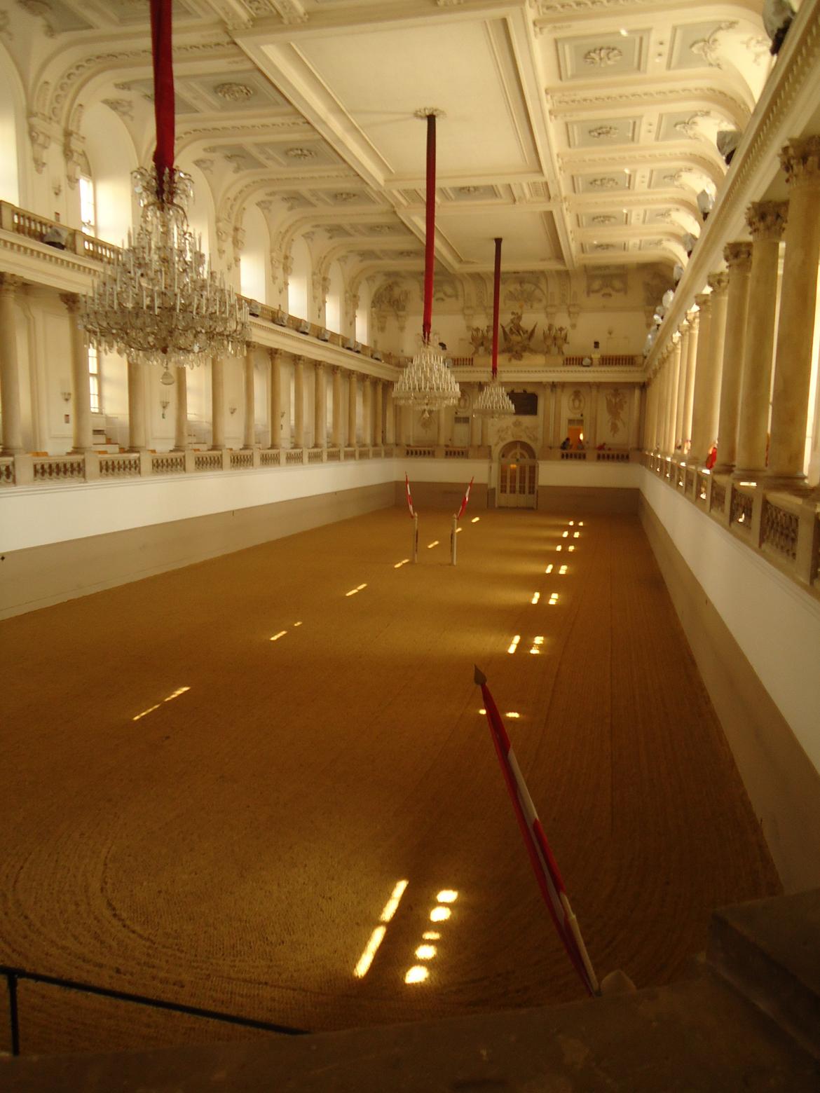 Den Spanske Rideskole i Wien billede 21