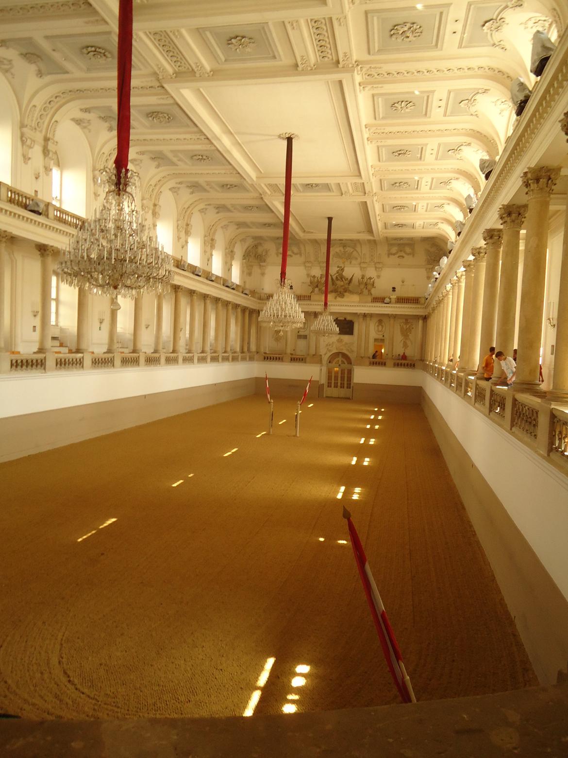 Den Spanske Rideskole i Wien - Virkelig lækker opvisningshal!! billede 1