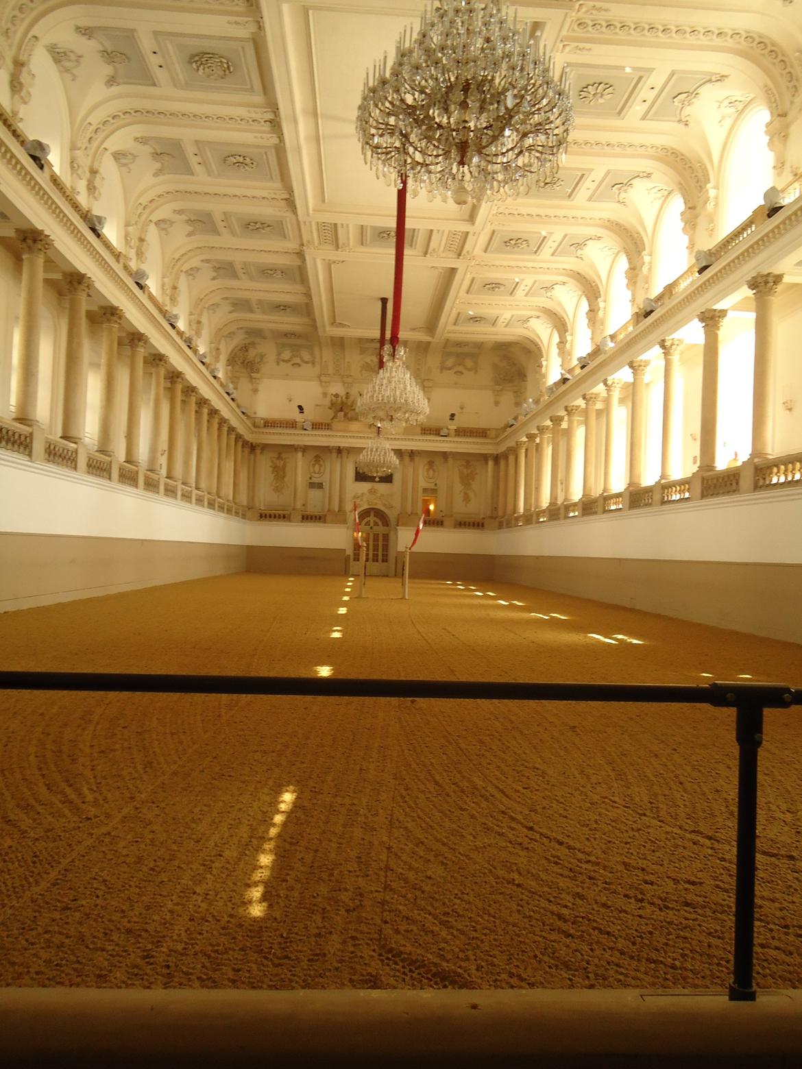 Den Spanske Rideskole i Wien billede 22