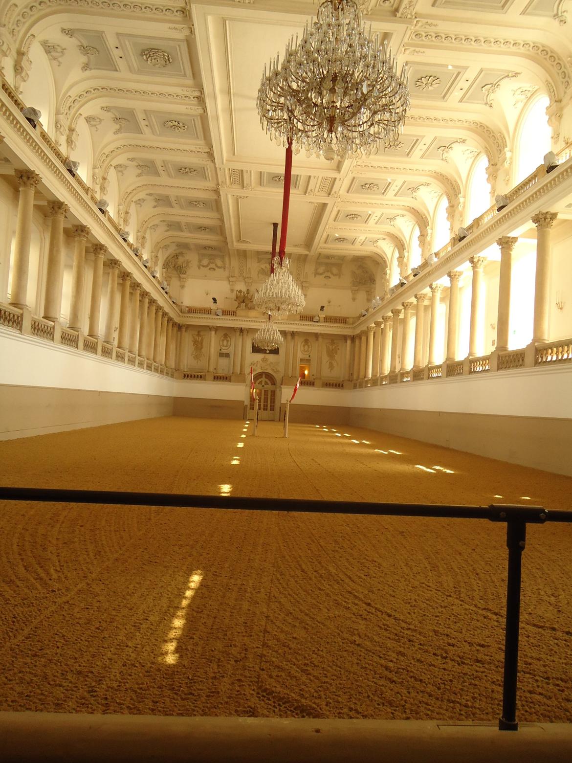 Den Spanske Rideskole i Wien billede 23