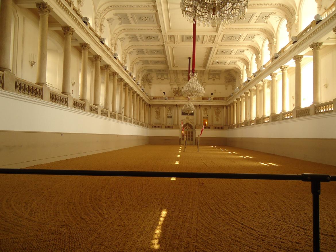 Den Spanske Rideskole i Wien billede 25