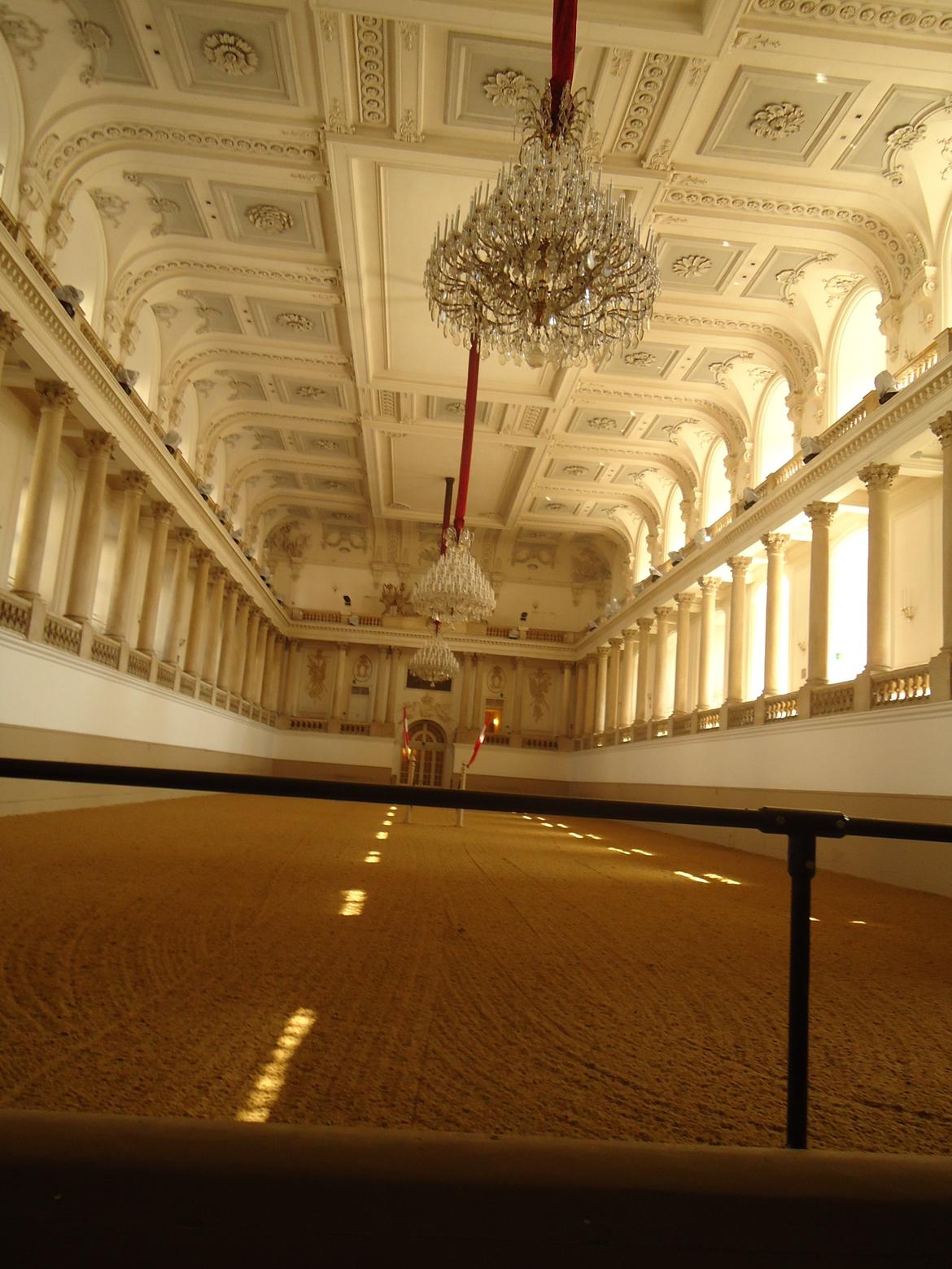 Den Spanske Rideskole i Wien billede 26