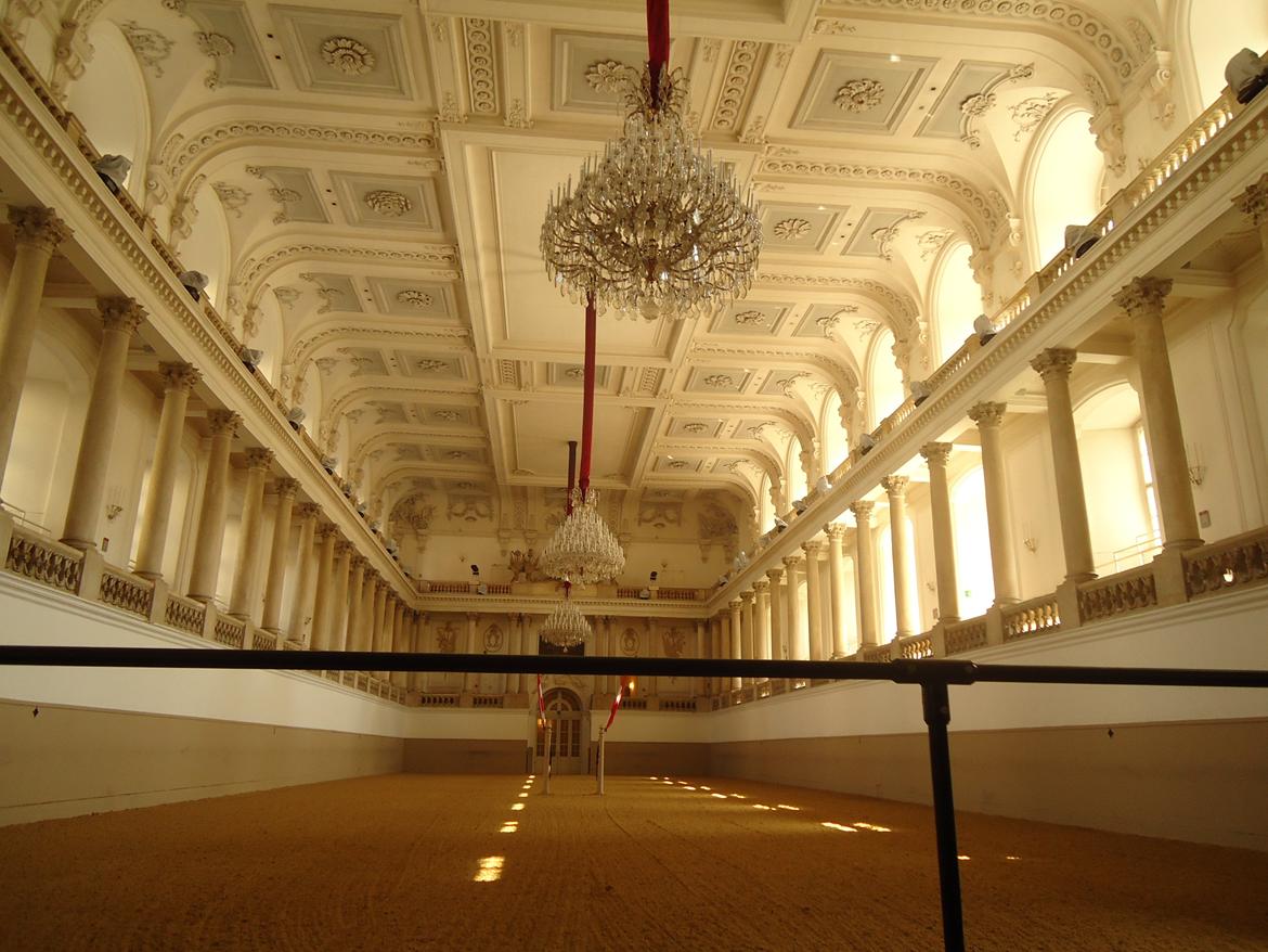 Den Spanske Rideskole i Wien billede 29