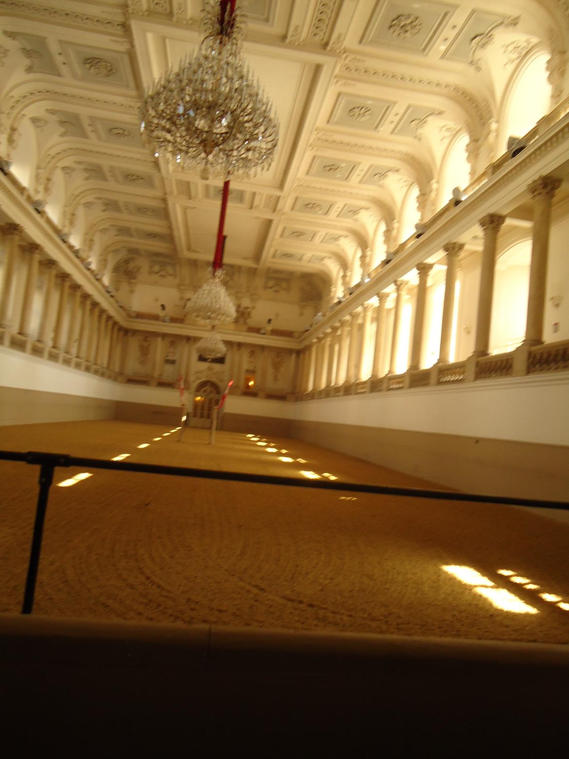 Den Spanske Rideskole i Wien billede 33