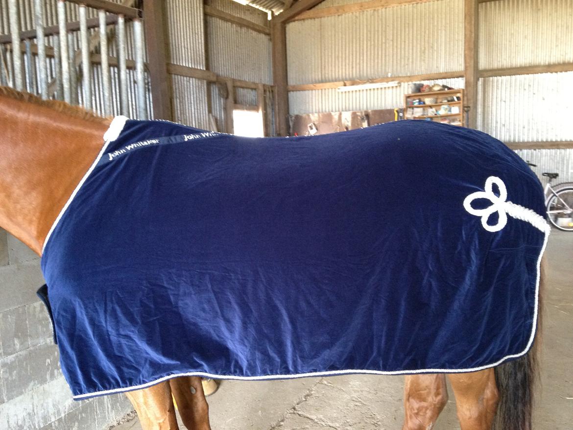 Mit udstyr :) - John Whitaker velourdækken billede 153